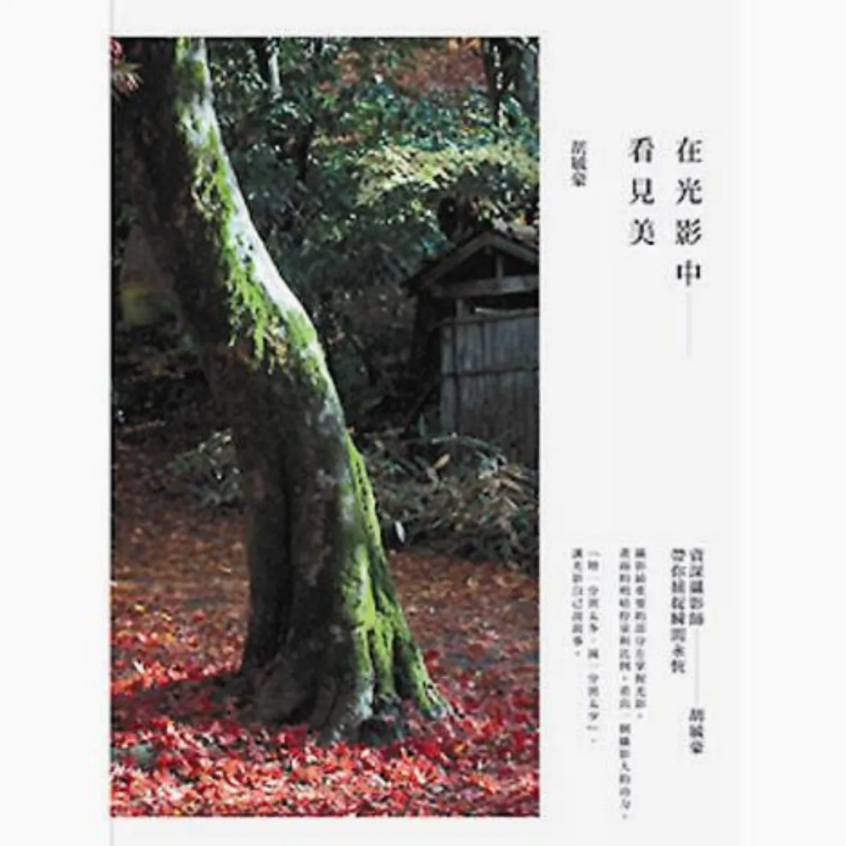攝影觀念 照片的靈魂