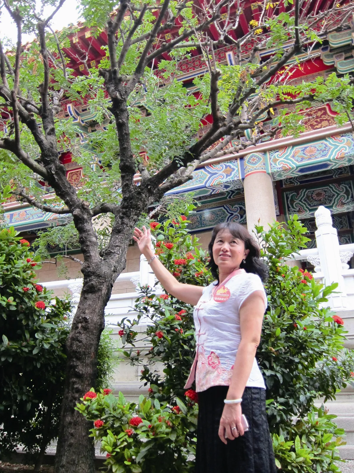 黛媽咪幸福花園 楷樹下的想念