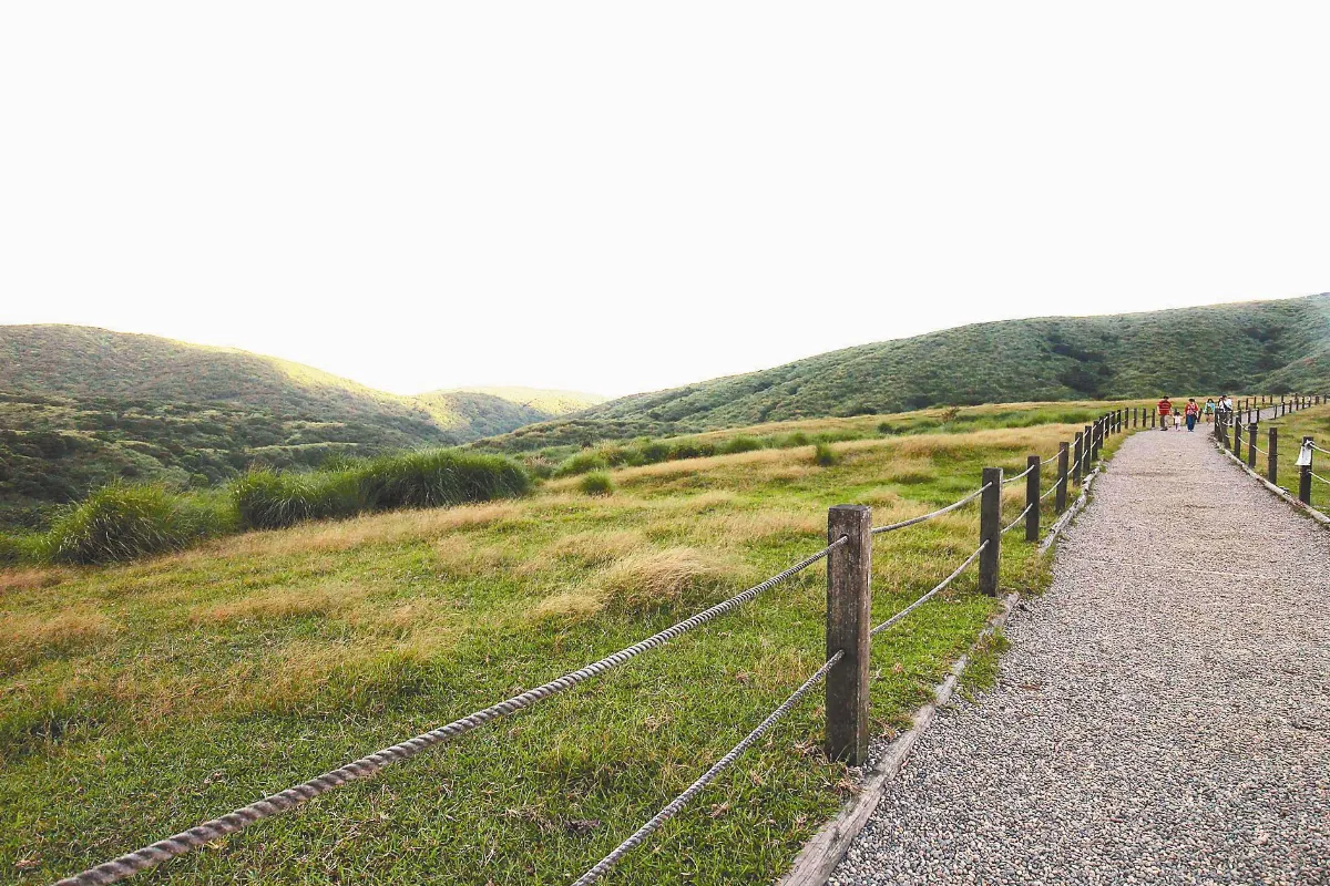 夏日．台北 下