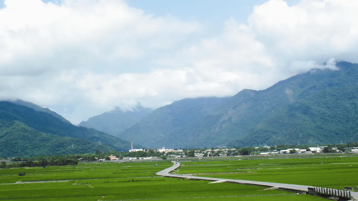 效法江蕙 池上米退出全國賽