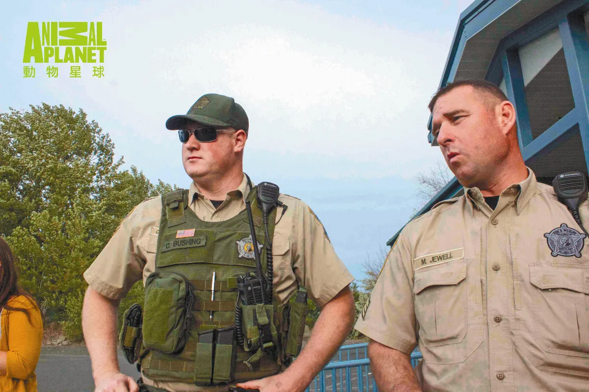 優質電視選 上山下海保育戰：綠色警戒