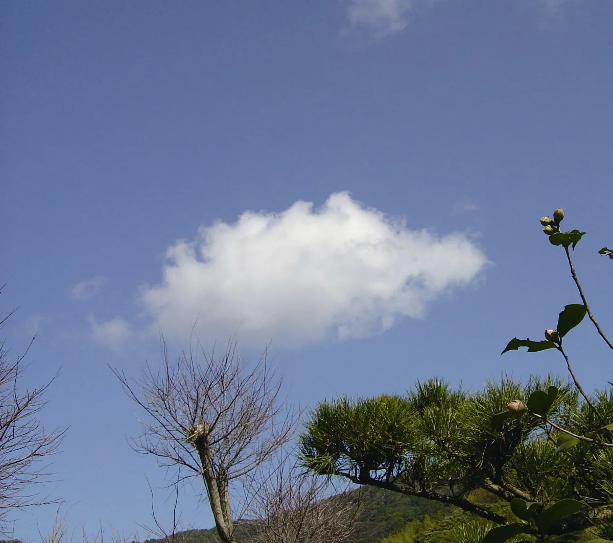 【心適人間】 塗鴉