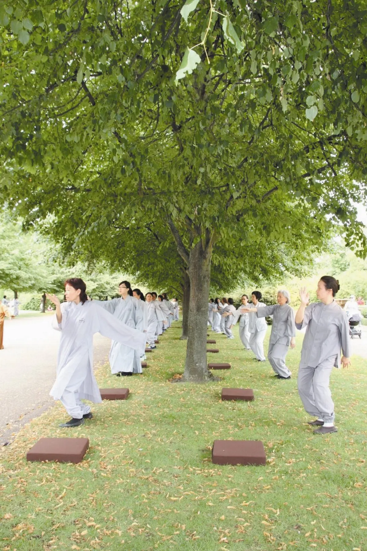 倫敦戶外禪 第一課學放下