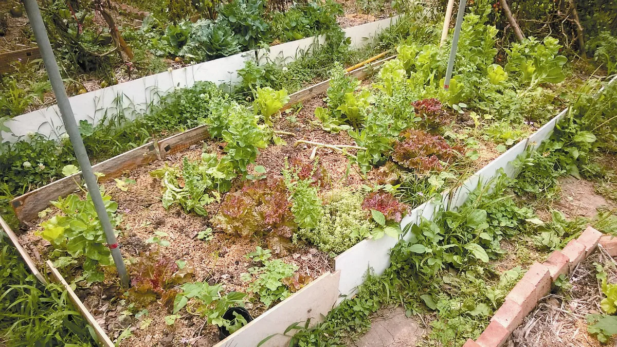要賺對地球友善的錢 企業戰士 反璞歸真