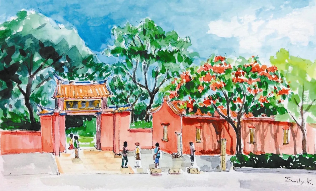 府城夏季的火紅鳳凰花開