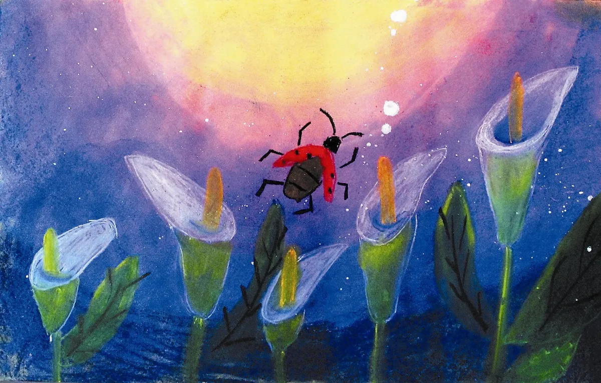 青春藝林 探訪馬蹄蓮