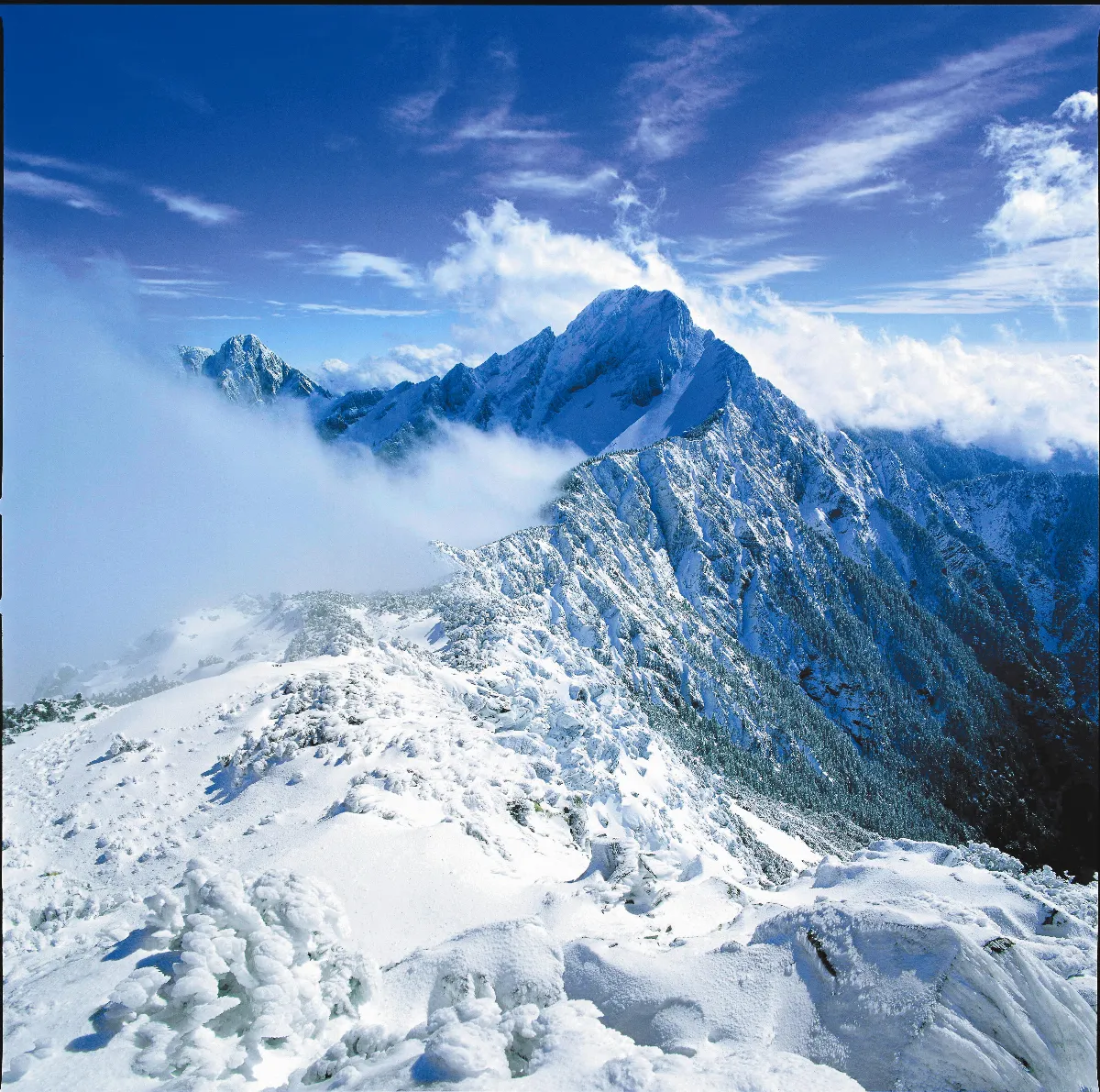電力上玉山？ 文明與生態拔河