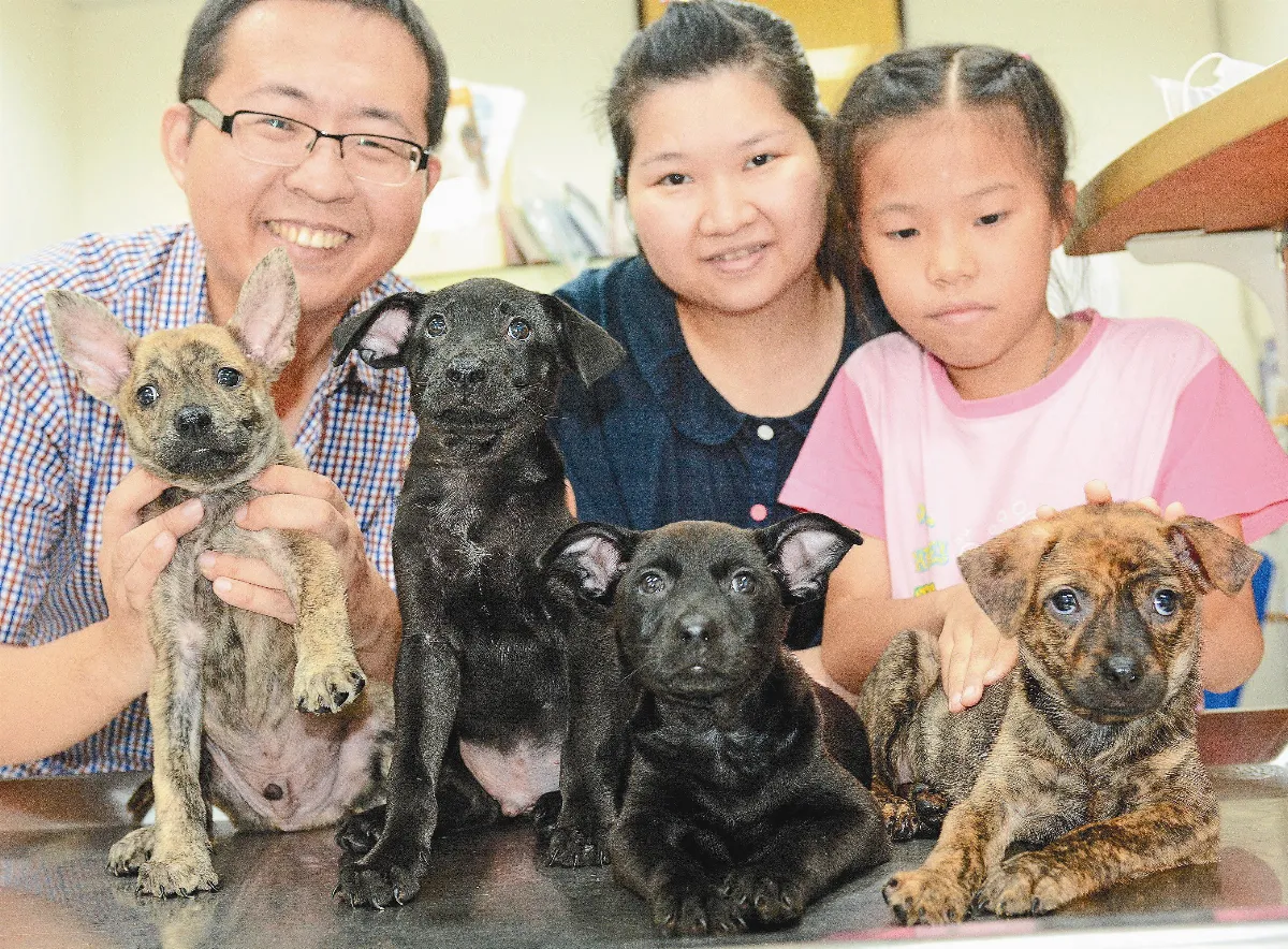 拚死救幼犬 母愛真偉大