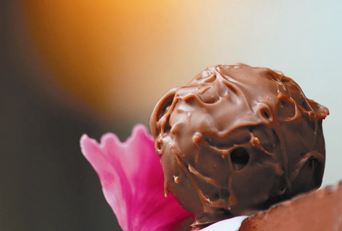 巧磕人生 一遍經，一顆巧克力