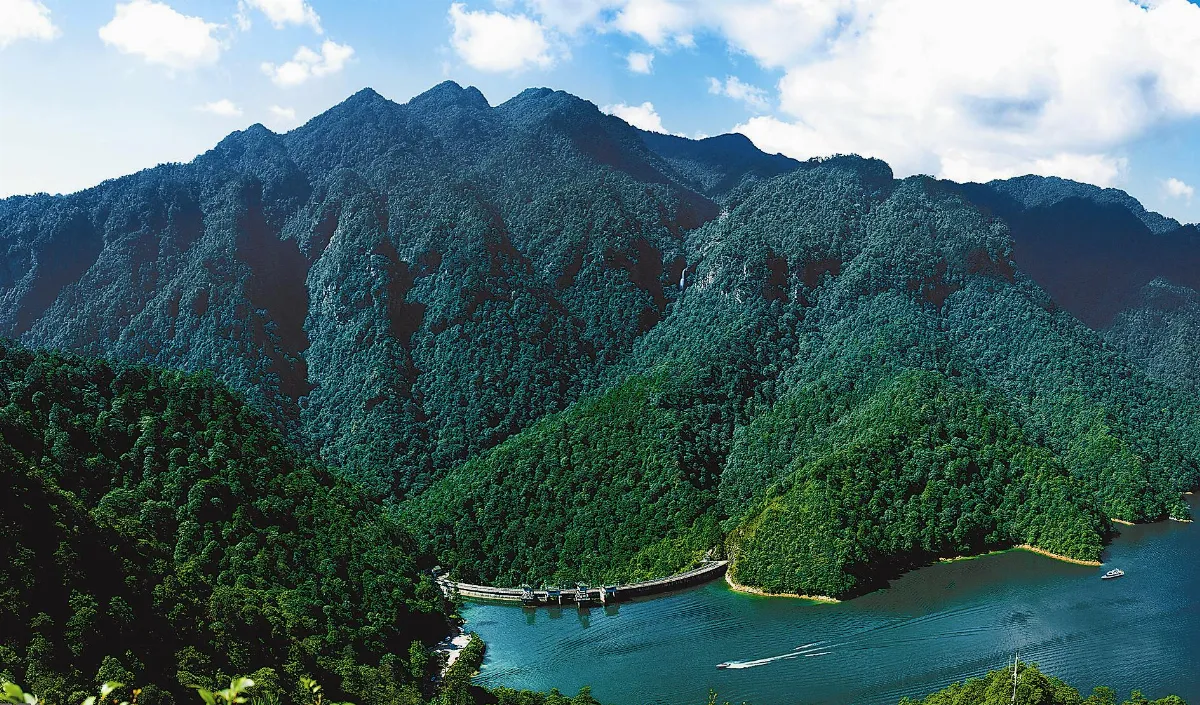 合福高鐵運營 武夷山得益最多