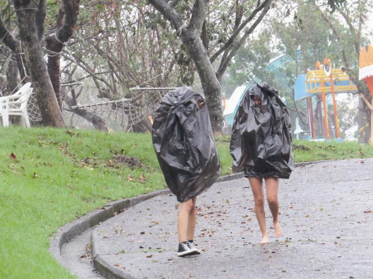 生活快門 聰明的雨中客