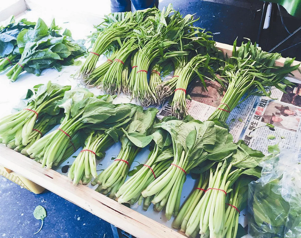 菜價連續上漲中  CPI連8跌