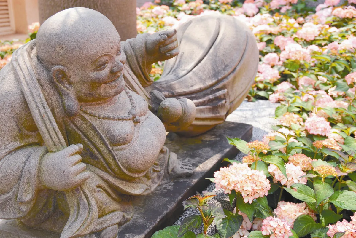 花開禪心 迷思