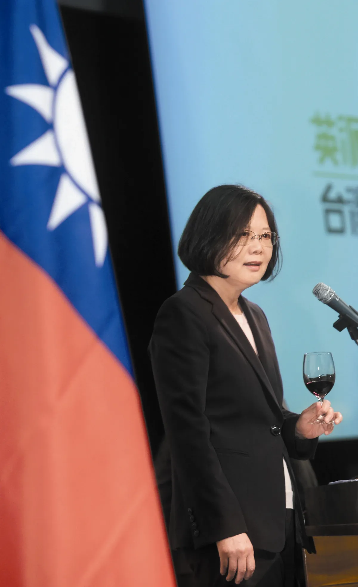 蔡英文新南向政策 建立夥伴關係