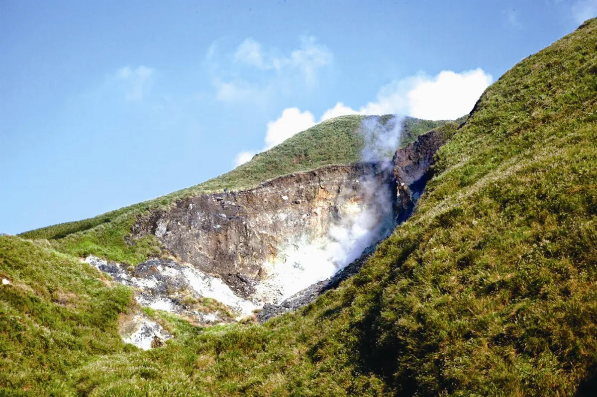 印象旅人 台北揪遊草山