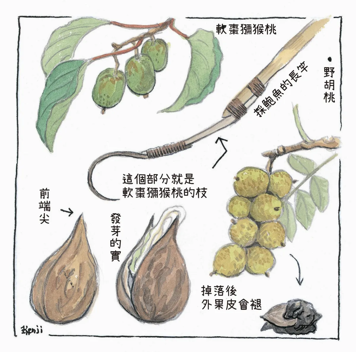 山林野遊生活教我的事