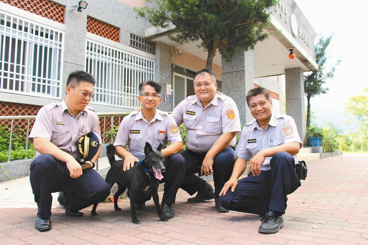 5流浪犬變警犬 關山新力軍報到