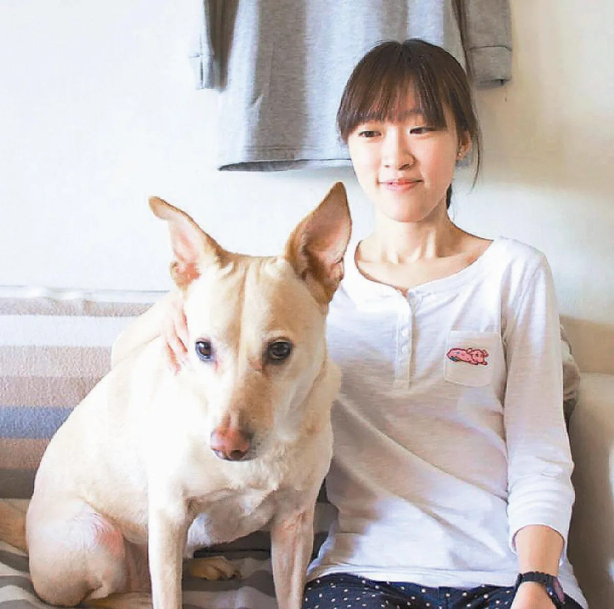 終結12夜動物悲歌