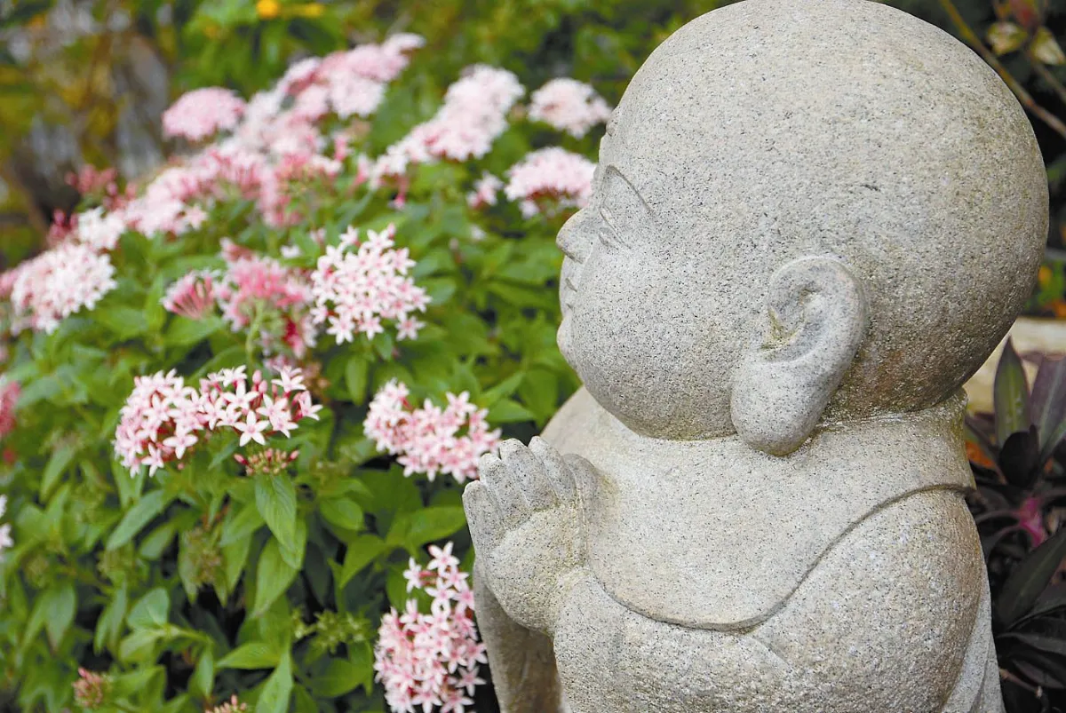 花開禪心   當願眾生