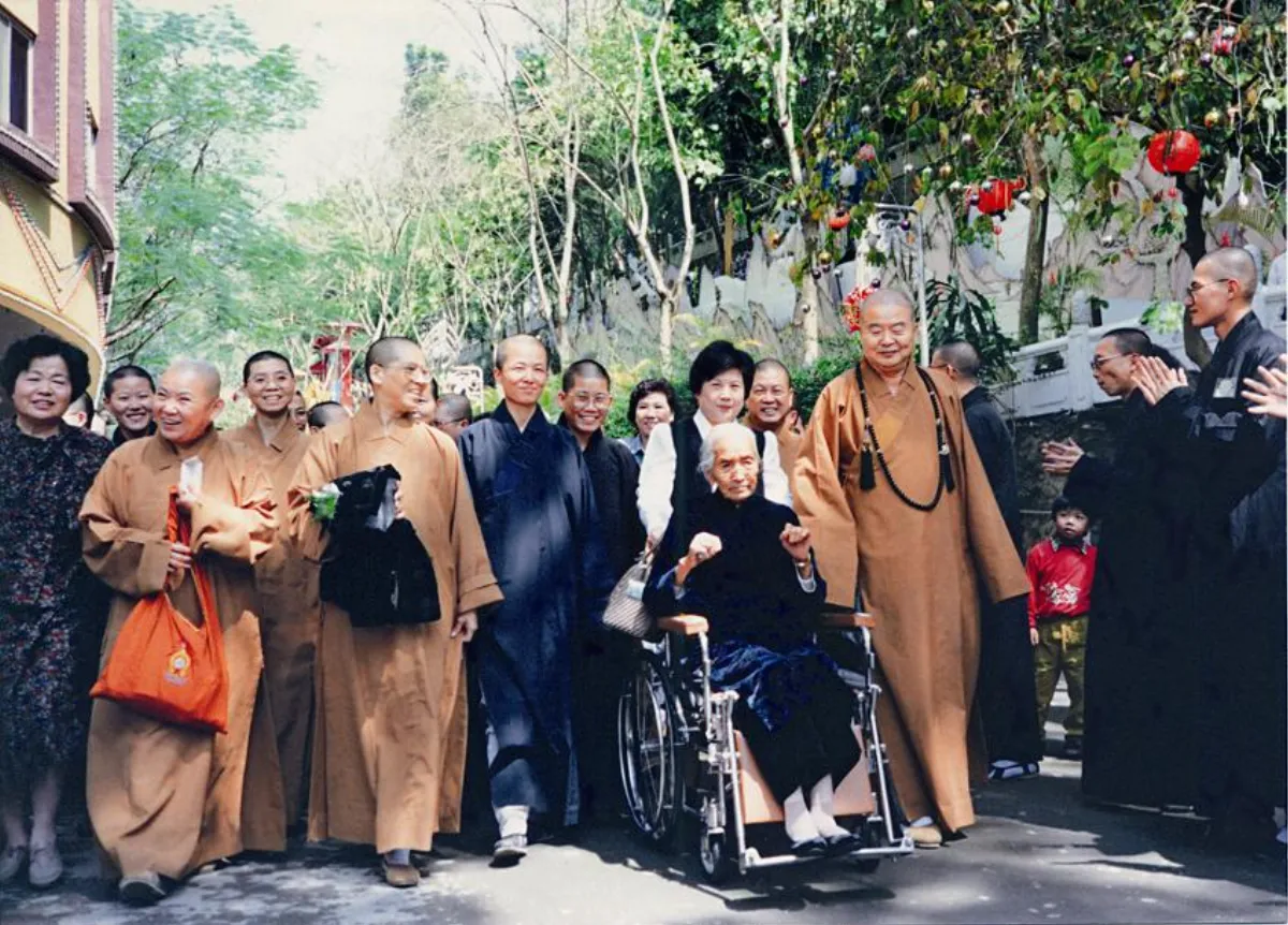 往事百語 滿樹桃花一棵根