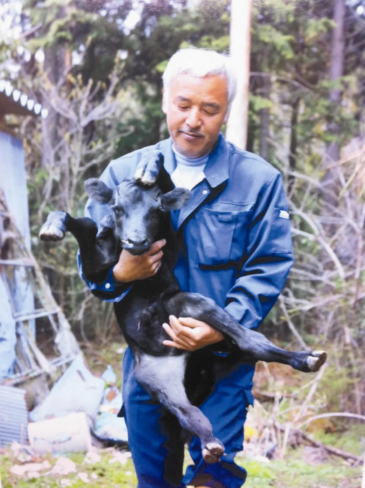 311後 他重返死城 守護流浪動物