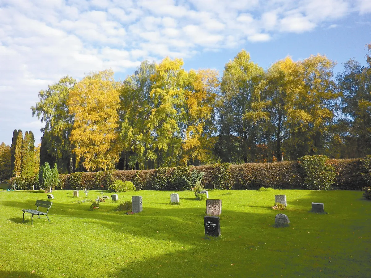 墓不轉睛的世外桃源