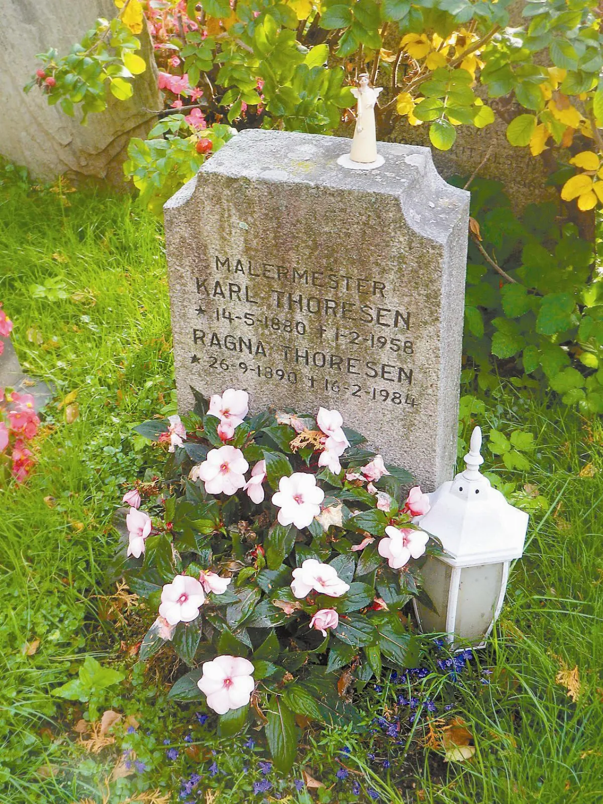 墓不轉睛的世外桃源