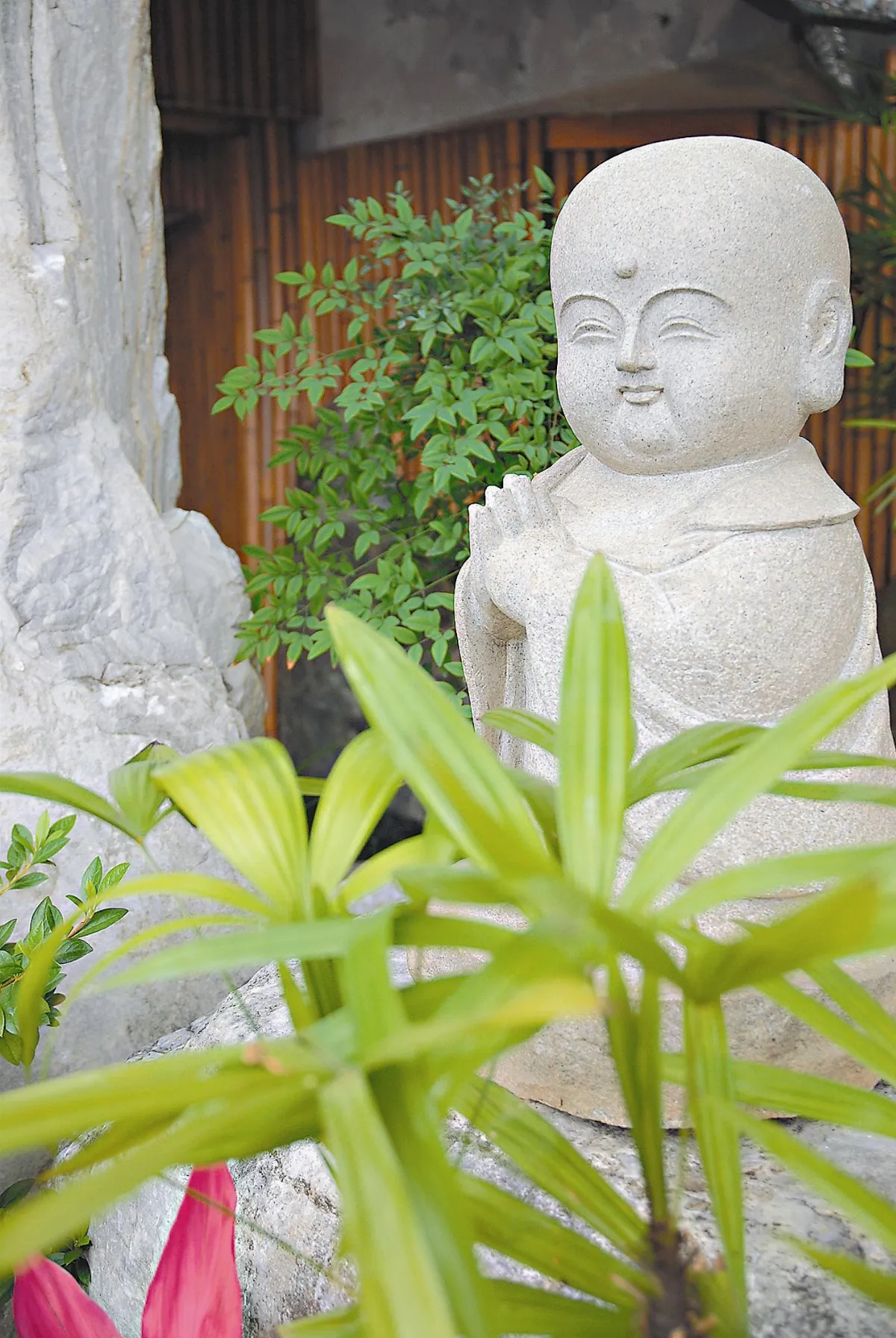 花開禪心   生命如葉子