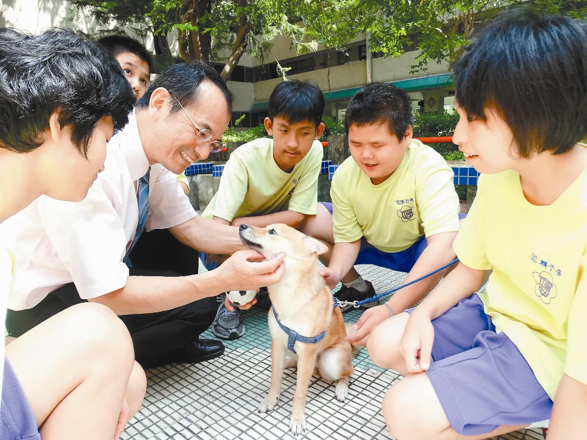 校狗好療癒 打開特教生心房