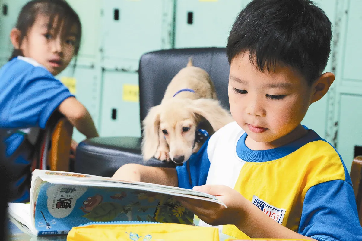 狗書僮出任務 孩子上課變有趣