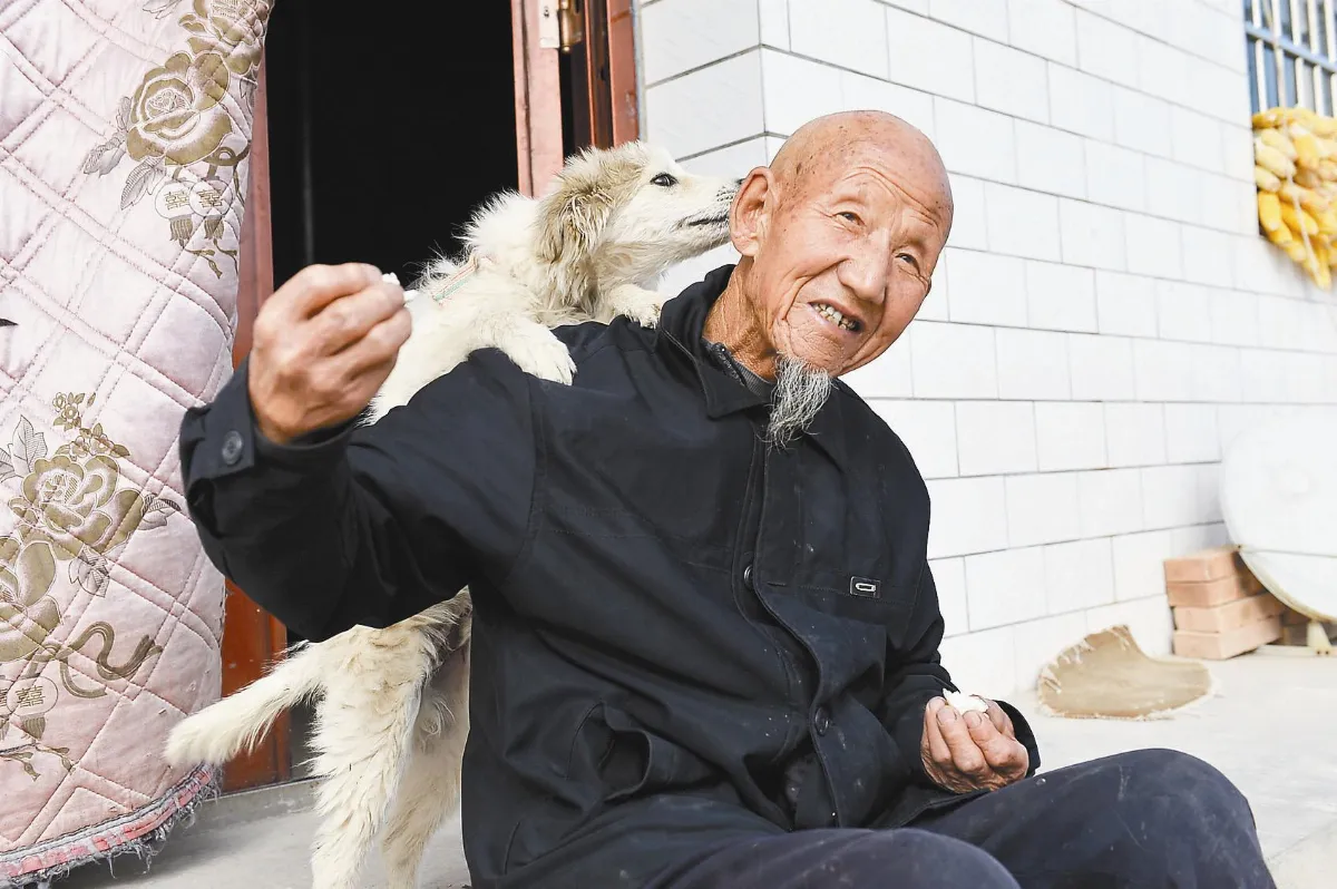 爺奶和他們的毛小孩