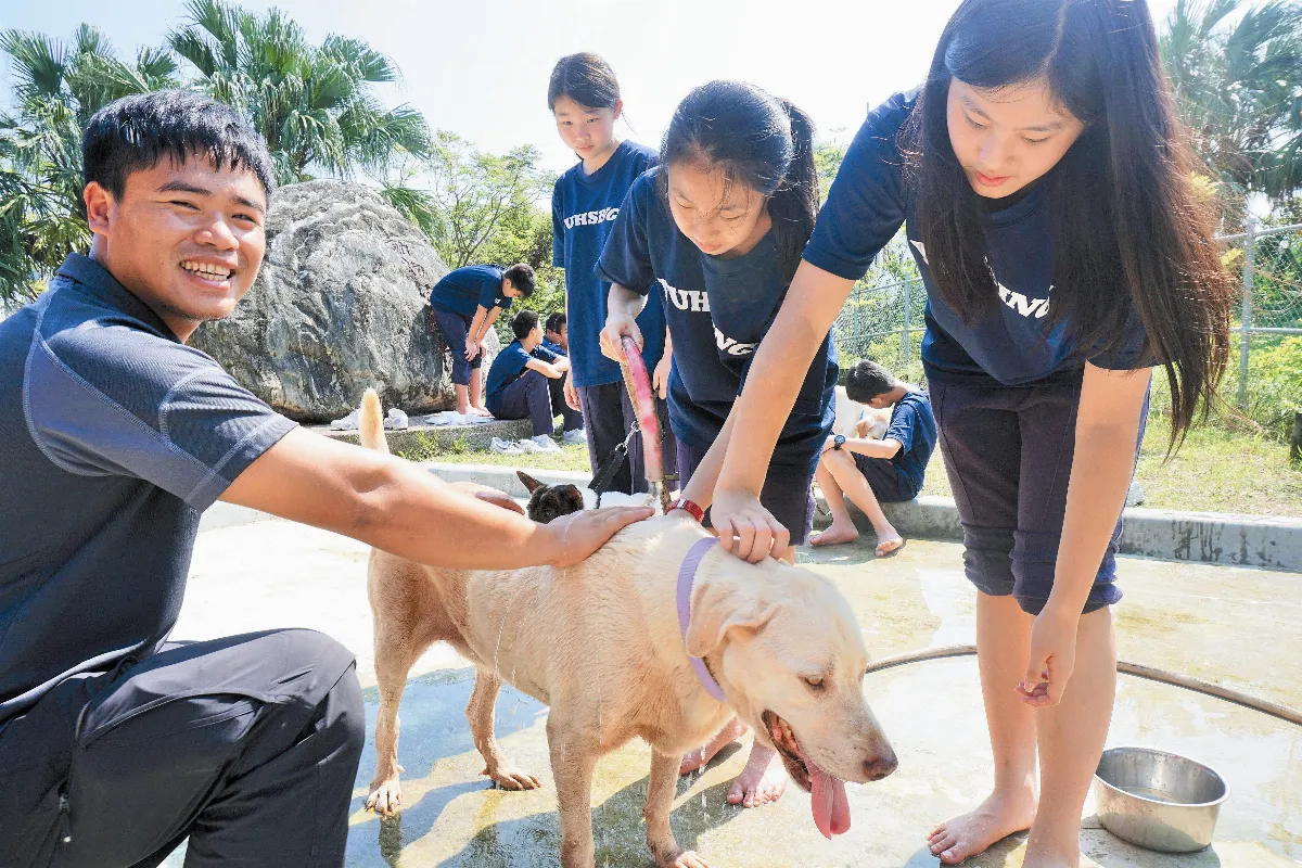 認養校犬還要評鑑 立院遭民怨