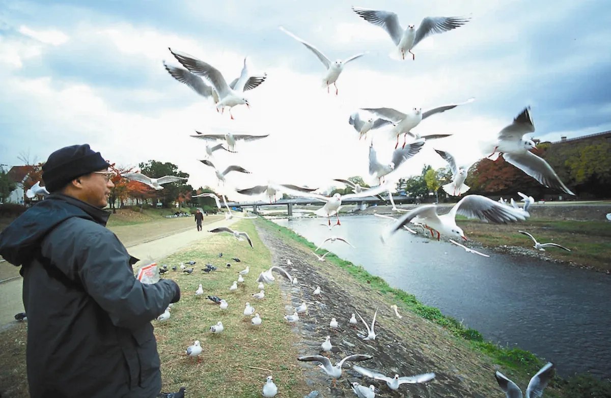 老鷹想飛 沈振中為黑鳶立傳