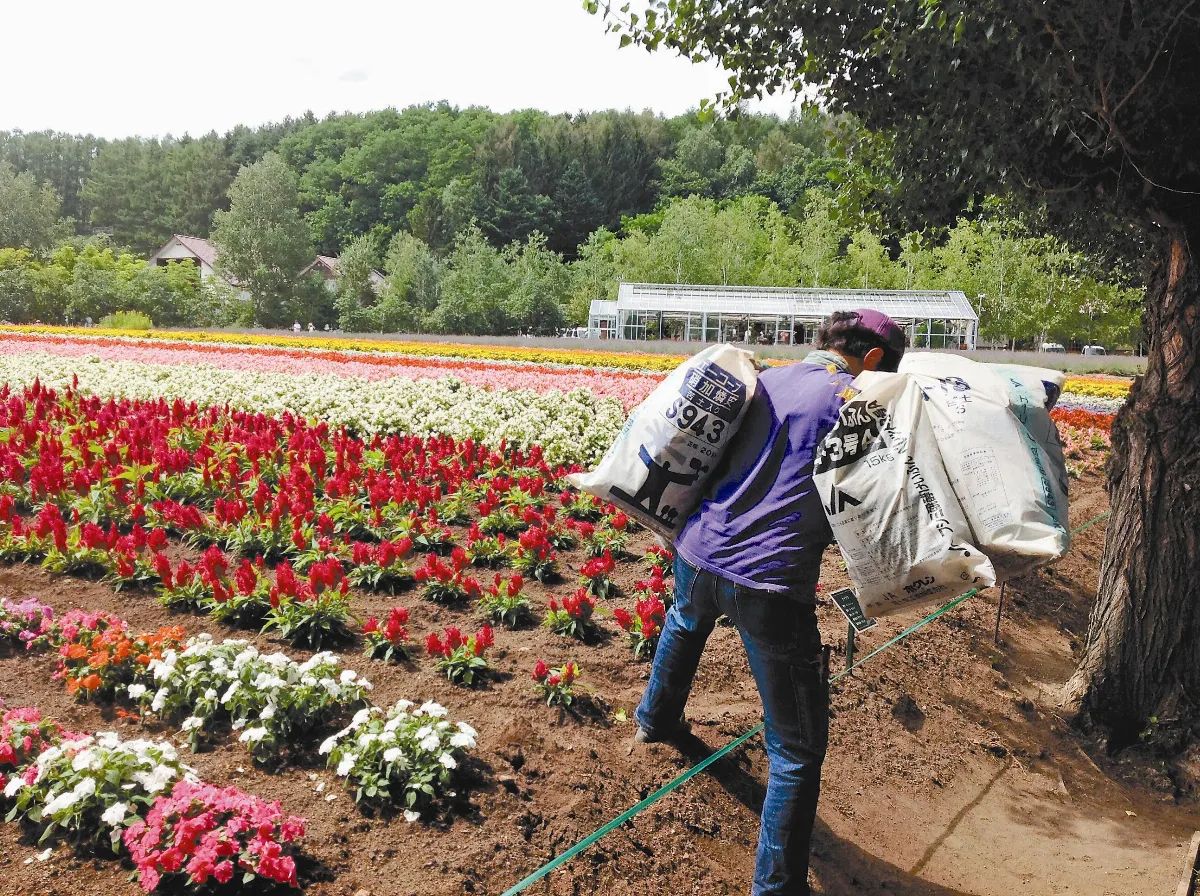 【人間植物禪】汗水美景