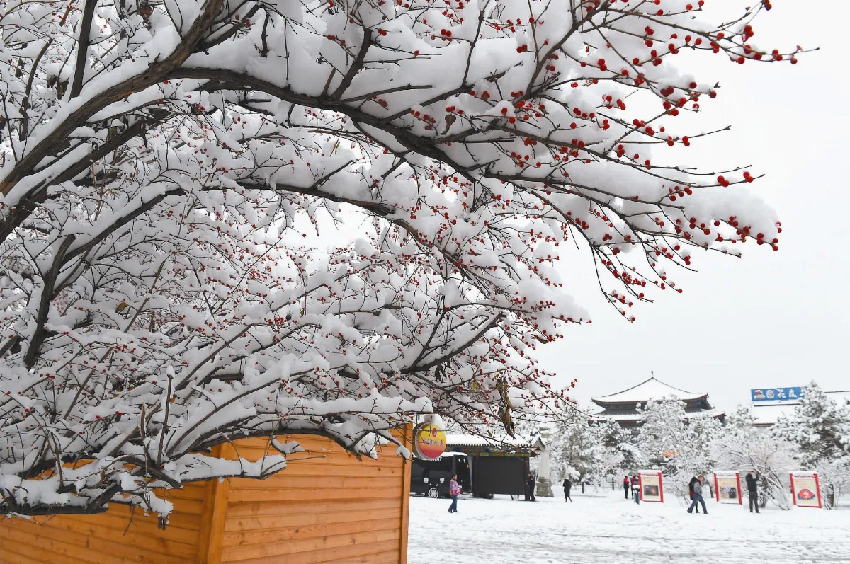 小雪變暴雪裹銀裝