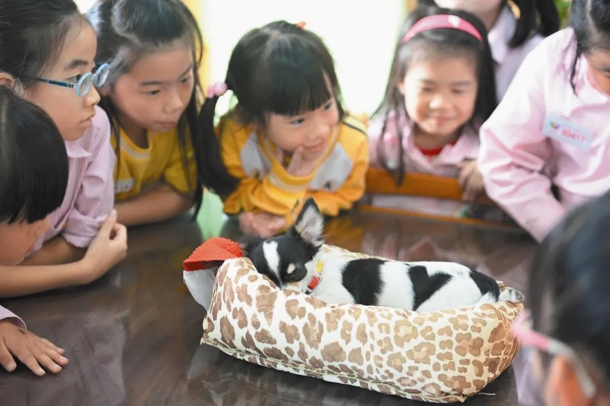 生命教育 伴讀犬出任務