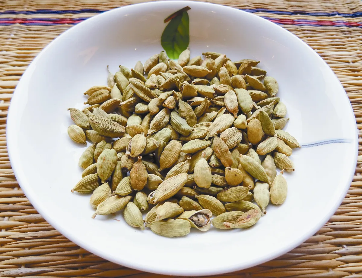 異鄉食情 小荳蔻留香