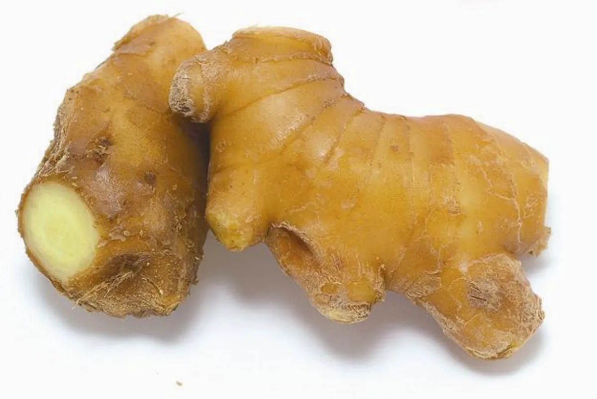 補氣食材 紅棗調整腸胃 生薑緩解孕吐