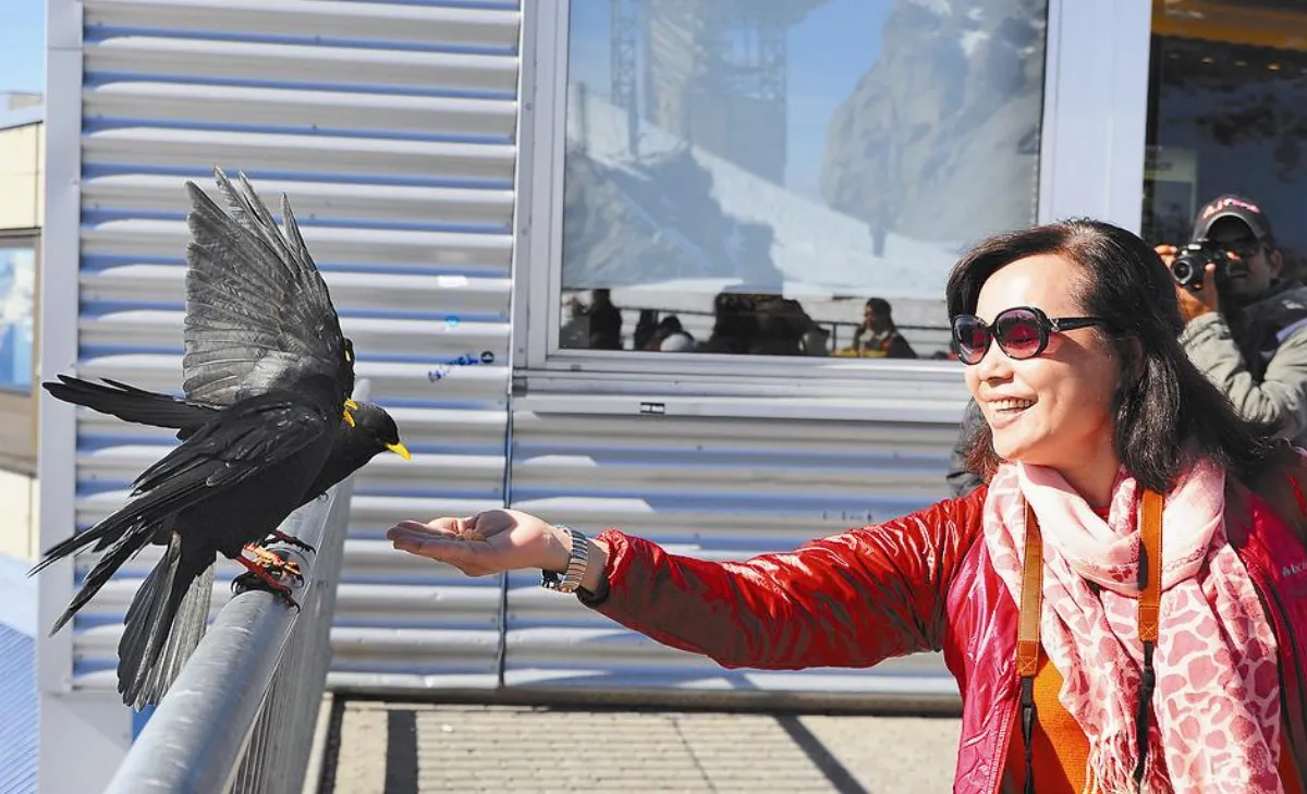 超級保險員 客戶引為知己