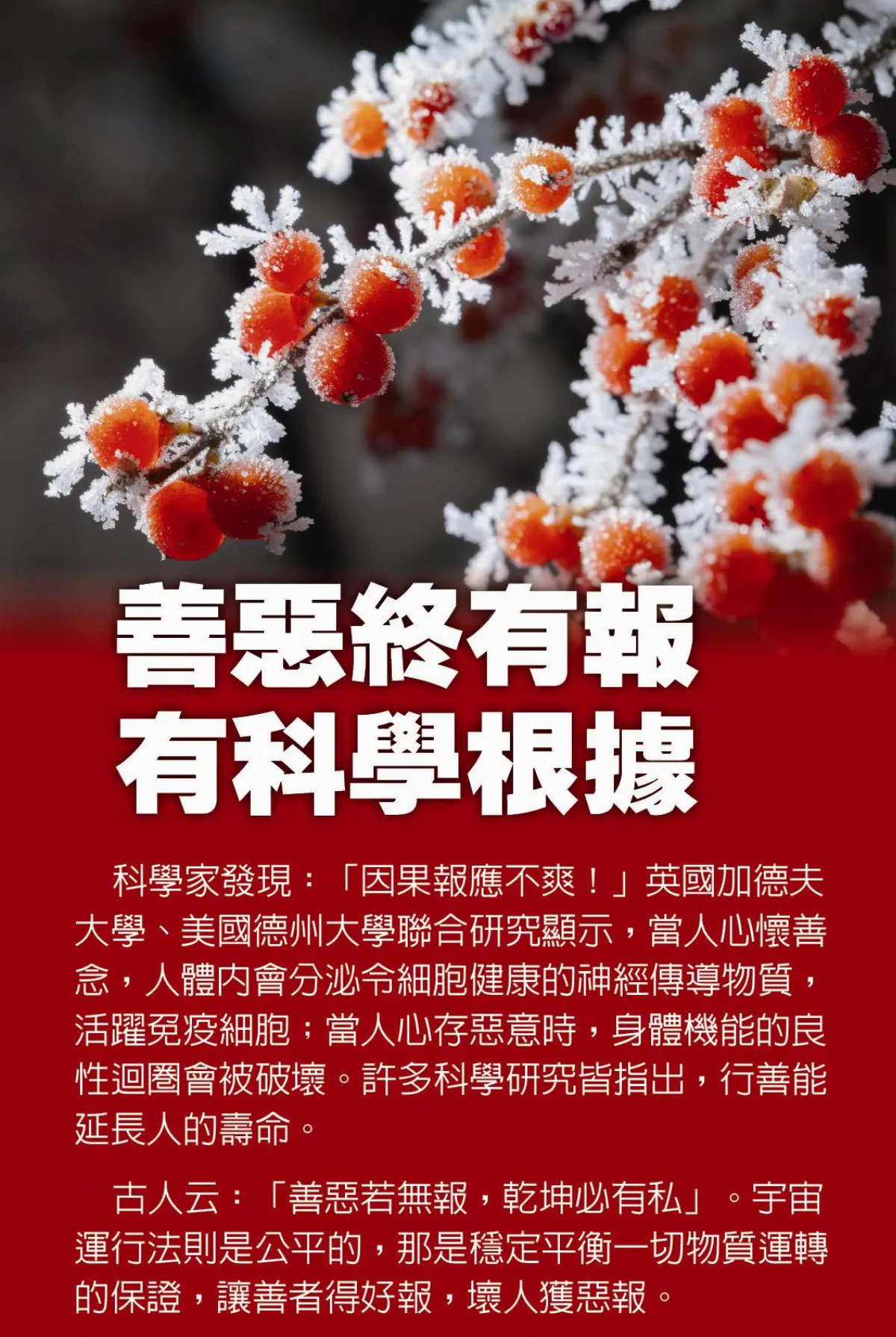善惡終有報 有科學根據