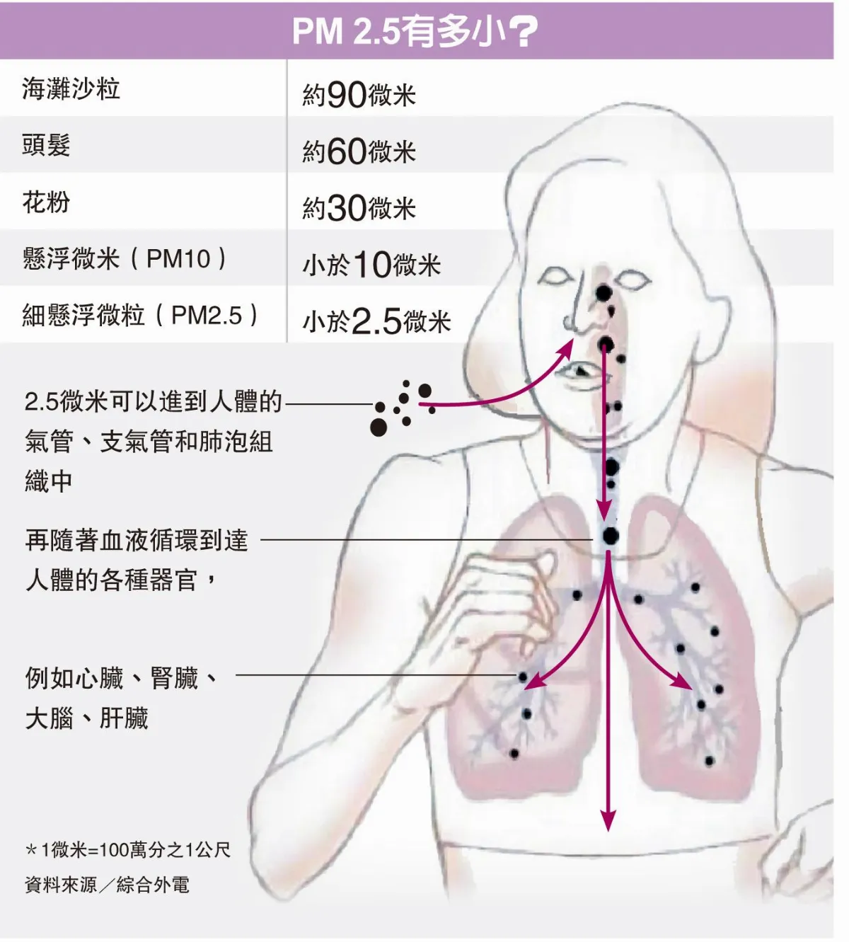 空汙天天紫爆 吞噬心肺 殺傷力勝吸菸