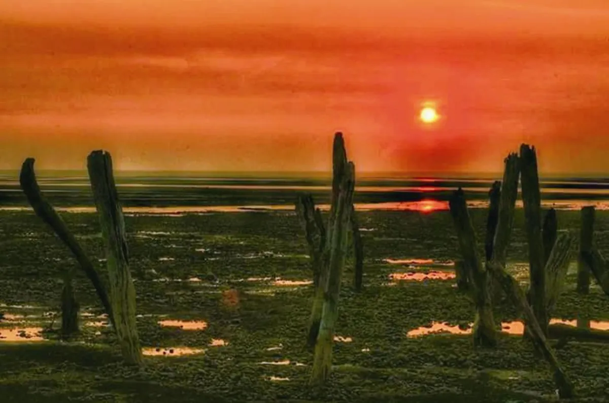 生活快門 落日餘暉