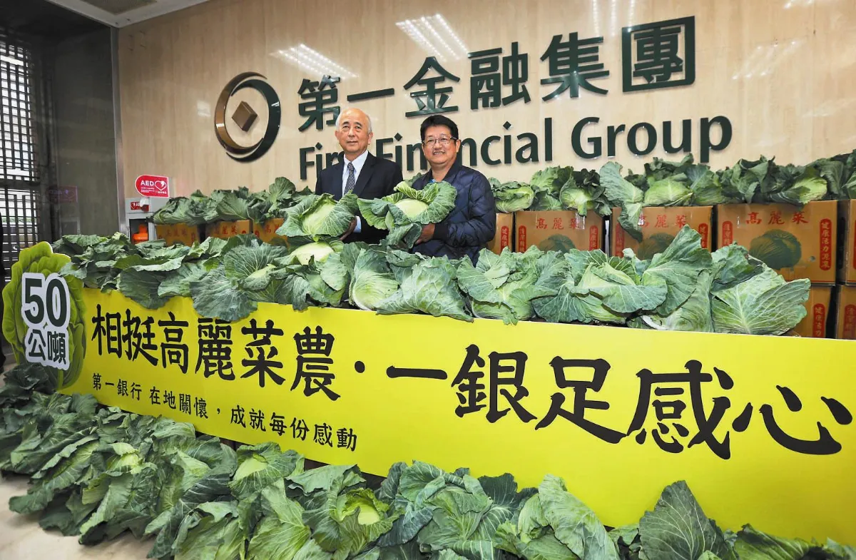 高麗菜慘跌 一銀直購挺菜農