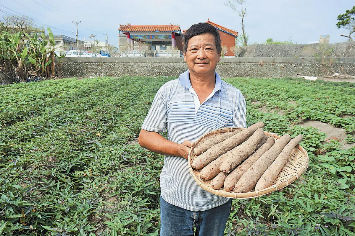 菜園裡聊天 有機農推食安教育