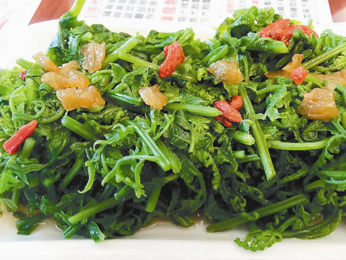 過貓、隔夜菜致癌？醫師：謠言