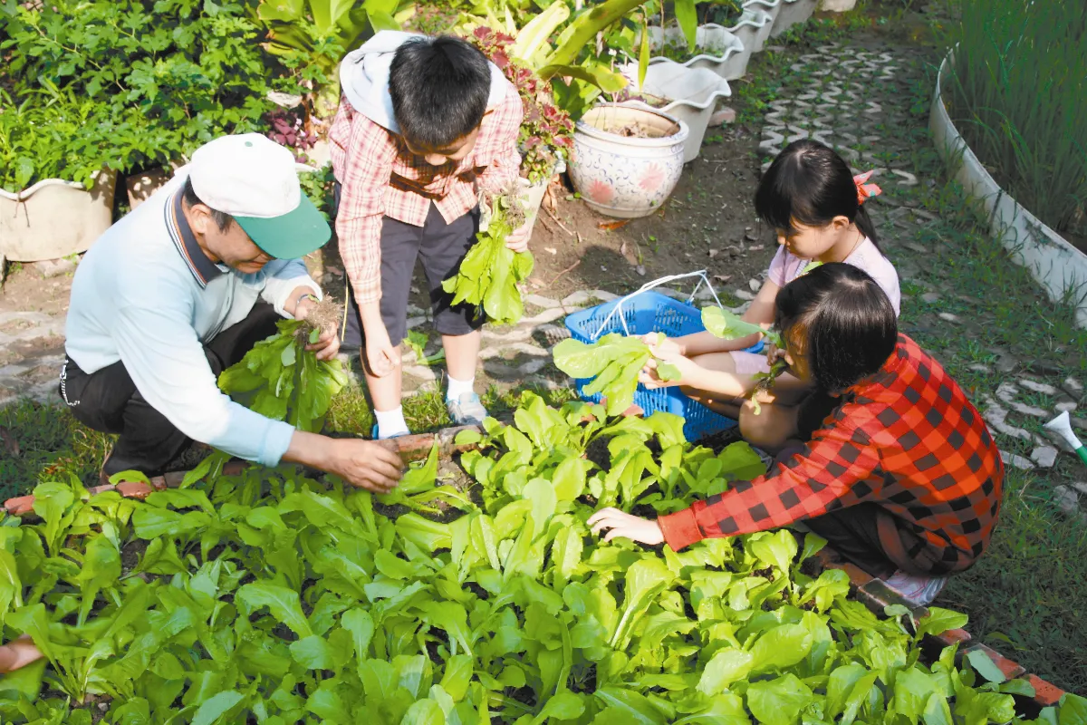 三好校園  一畝田教育 培養學童敬天愛物