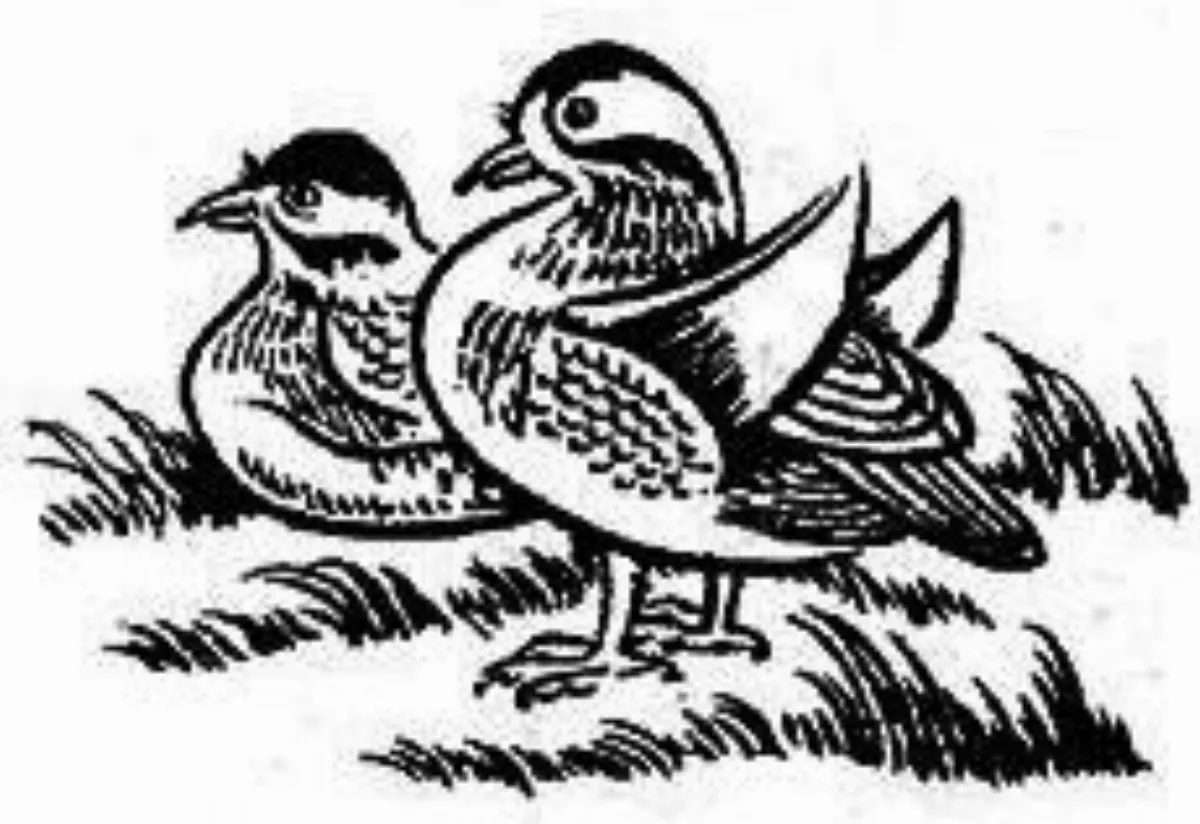 【豐子愷．護生畫集】 願同塵與灰