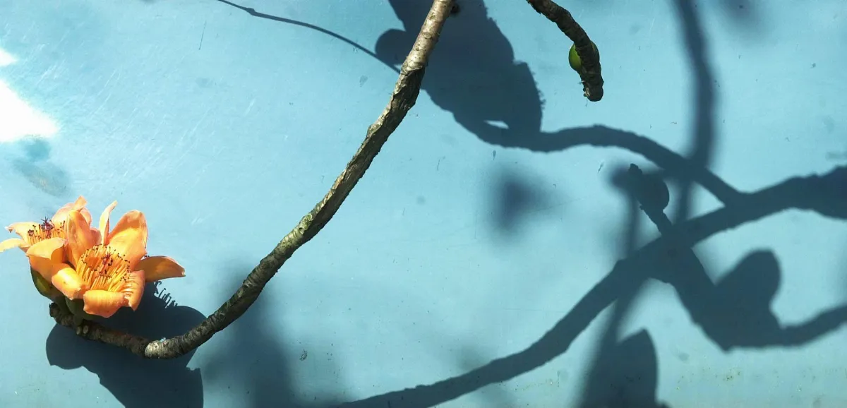 人生萬花筒 不怨天尤人的孤寂身影