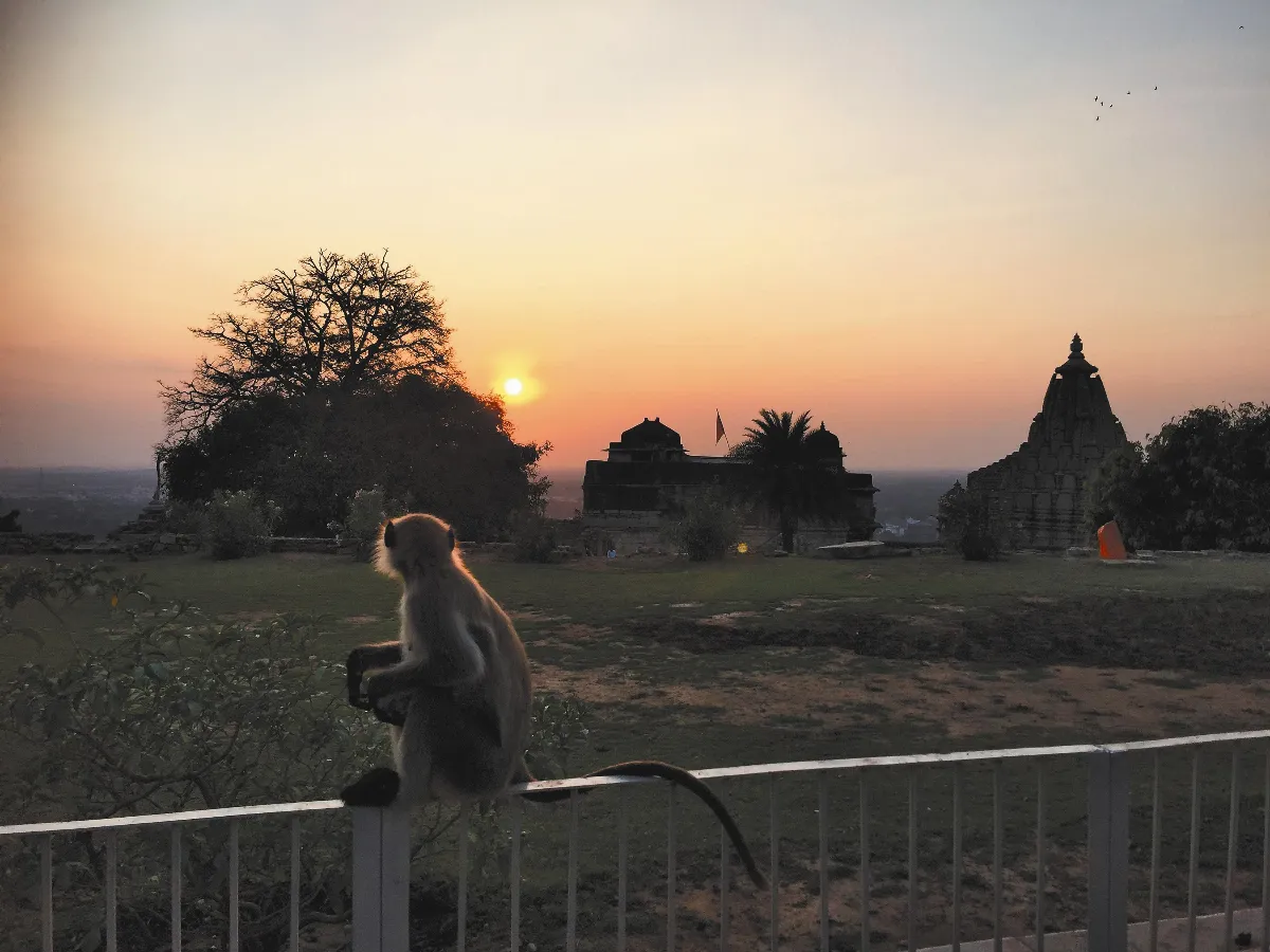 【心．視界】古塔夕陽