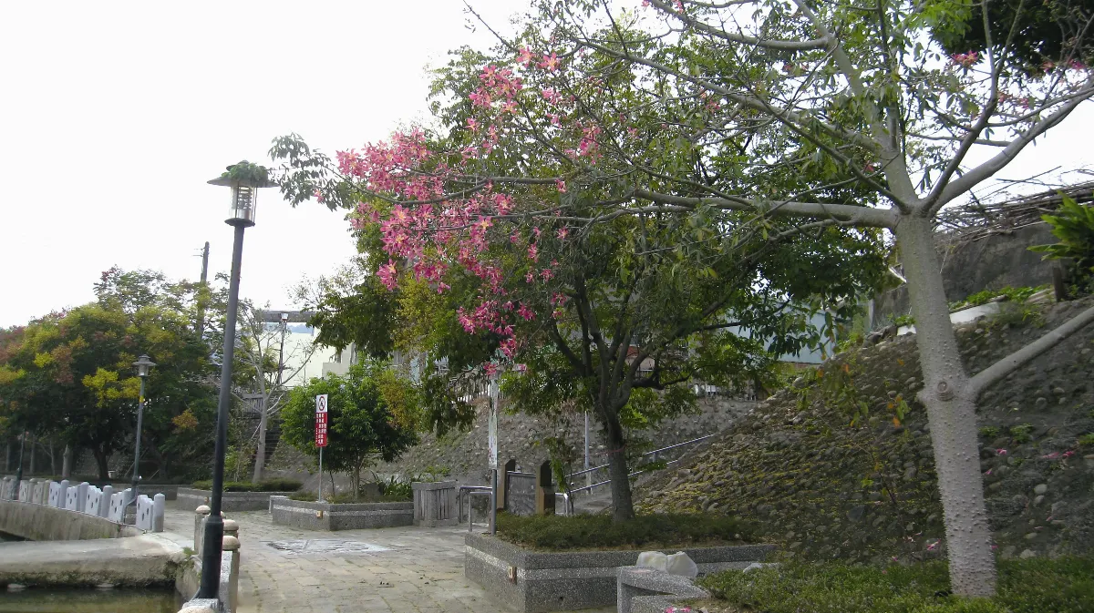 印象旅人 牛欄河親水公園健走趣